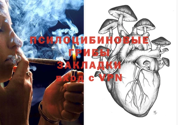 экстази Арсеньев