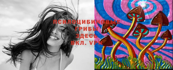 кокс Аркадак