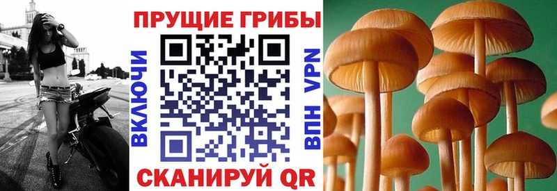 где купить наркотик  Нижние Серги  Галлюциногенные грибы ЛСД 