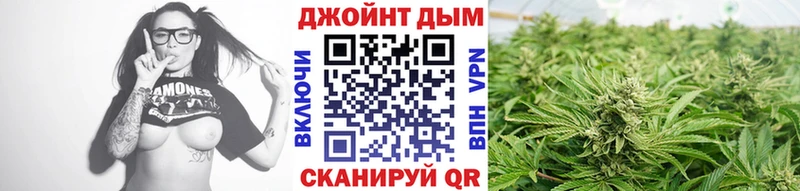 где купить   Нижние Серги  Конопля планчик 